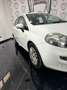 Fiat Punto Evo Punto Evo 5p 1.3 mjt Dynamic eco s Bianco - thumbnail 3