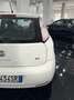 Fiat Punto Evo Punto Evo 5p 1.3 mjt Dynamic eco s Bianco - thumbnail 5