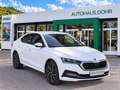 Skoda Octavia Style TSI 150 PS Leder Matrix 18" Weiß - thumbnail 1