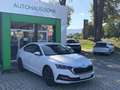 Skoda Octavia Style TSI 150 PS Leder Matrix 18" Weiß - thumbnail 2