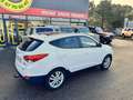 Hyundai iX35 IX 35 2.0 CRDi 136 4x4 Pack Premium Limited Blanc - thumbnail 4