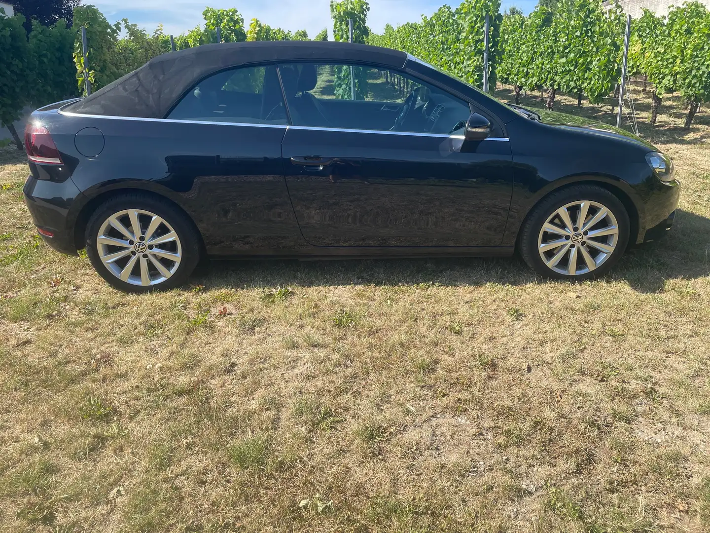 Volkswagen Golf Cabriolet Golf Cabrio 1.4 TSI Negro - 2