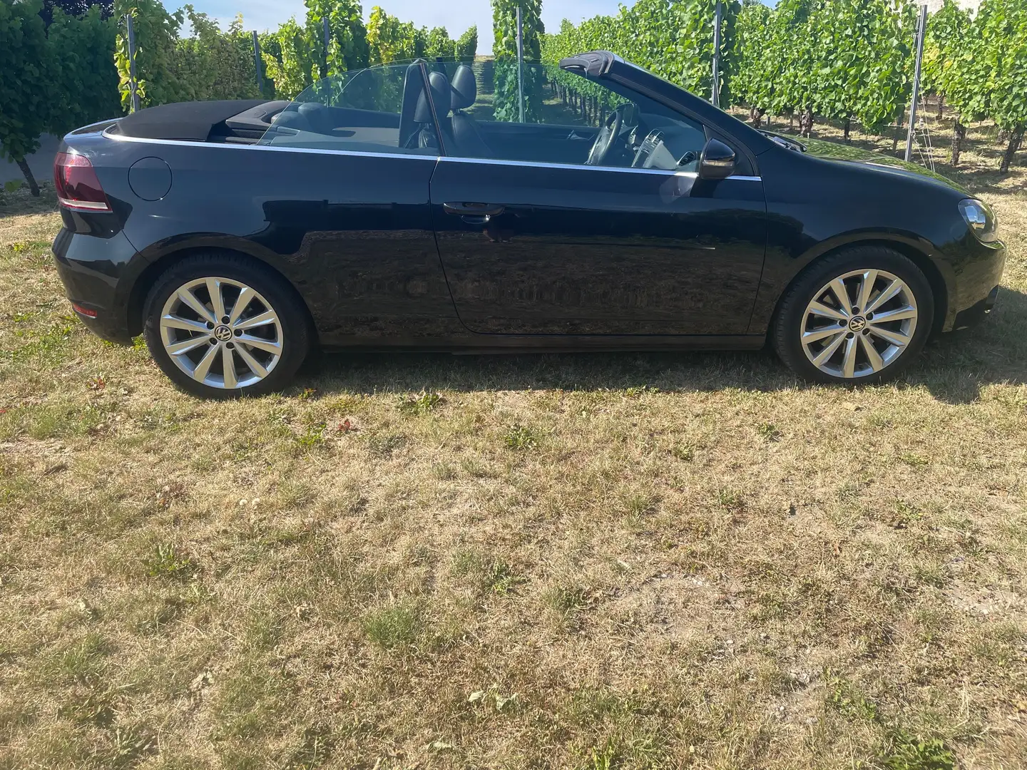 Volkswagen Golf Cabriolet Golf Cabrio 1.4 TSI Negro - 1