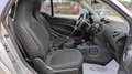smart forTwo PASSION 1.0cc 71cv TETTO PANORAMICO CRUISE CONTROL Gris - thumbnail 12