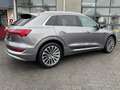 Audi e-tron e-tron 55 quattro advanced 95 kWh | SOH 91% | S LI Grijs - thumbnail 3