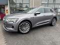 Audi e-tron e-tron 55 quattro advanced 95 kWh | SOH 91% | S LI Grijs - thumbnail 1