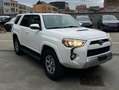 Toyota 4-Runner ONLY FOR EXPORT OUT OF EUROPE Wit - thumbnail 18