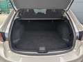 Mazda 6 Kombi 2.0l Center-Line Navi 360° Kamera Voll-LED Beige - thumbnail 23