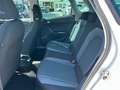 SEAT Arona 1.0 TGI Style Bianco - thumbnail 8