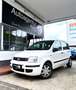 Fiat Panda 1.1 8V Active Weiß - thumbnail 1
