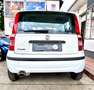 Fiat Panda 1.1 8V Active Weiß - thumbnail 5