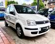 Fiat Panda 1.1 8V Active Weiß - thumbnail 3