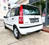 Fiat Panda 1.1 8V Active Weiß - thumbnail 6