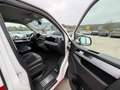 Volkswagen T6 Transporter Bus Multivan Highline Blanco - thumbnail 15