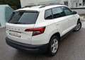Skoda Karoq Skoda Karoq 4x4 Weiß - thumbnail 5