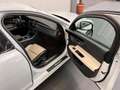 Jaguar XF R-Sport *MERIDIAN*NAVI*CAM*ACC*HUD*20 ZOLL* Blanc - thumbnail 17