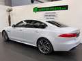 Jaguar XF R-Sport *MERIDIAN*NAVI*CAM*ACC*HUD*20 ZOLL* Blanc - thumbnail 4