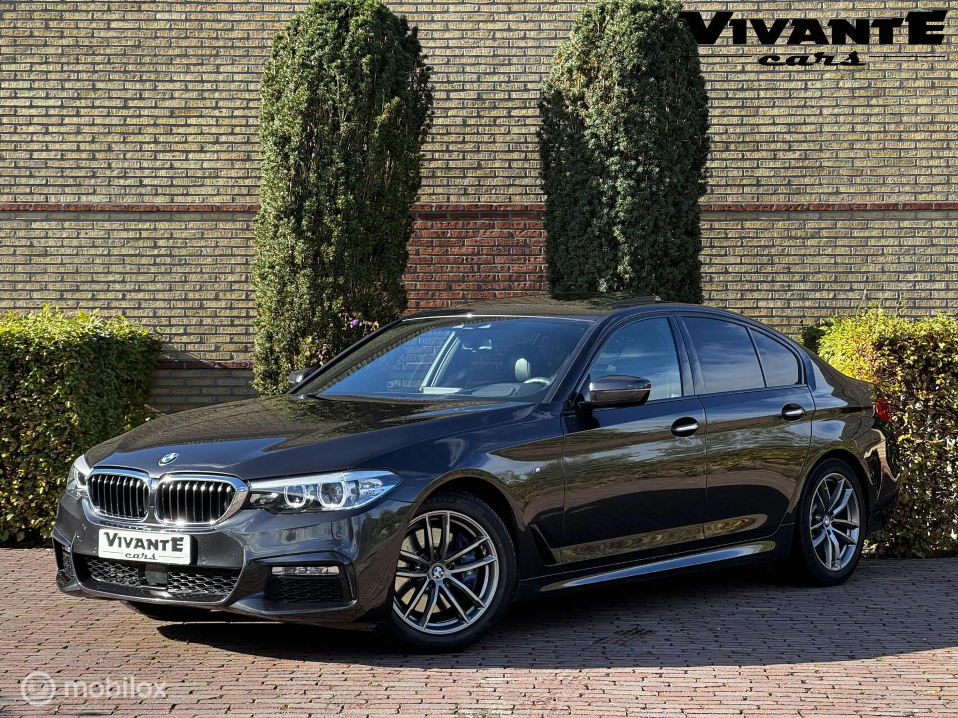 BMW 530 5-serie 530d High Executive M-Pakket*Pano*Head-Up*