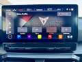 CUPRA Formentor 1.5 TSI e-Hybrid VZ Performance 245PK | Apple-Andr Zwart - thumbnail 34