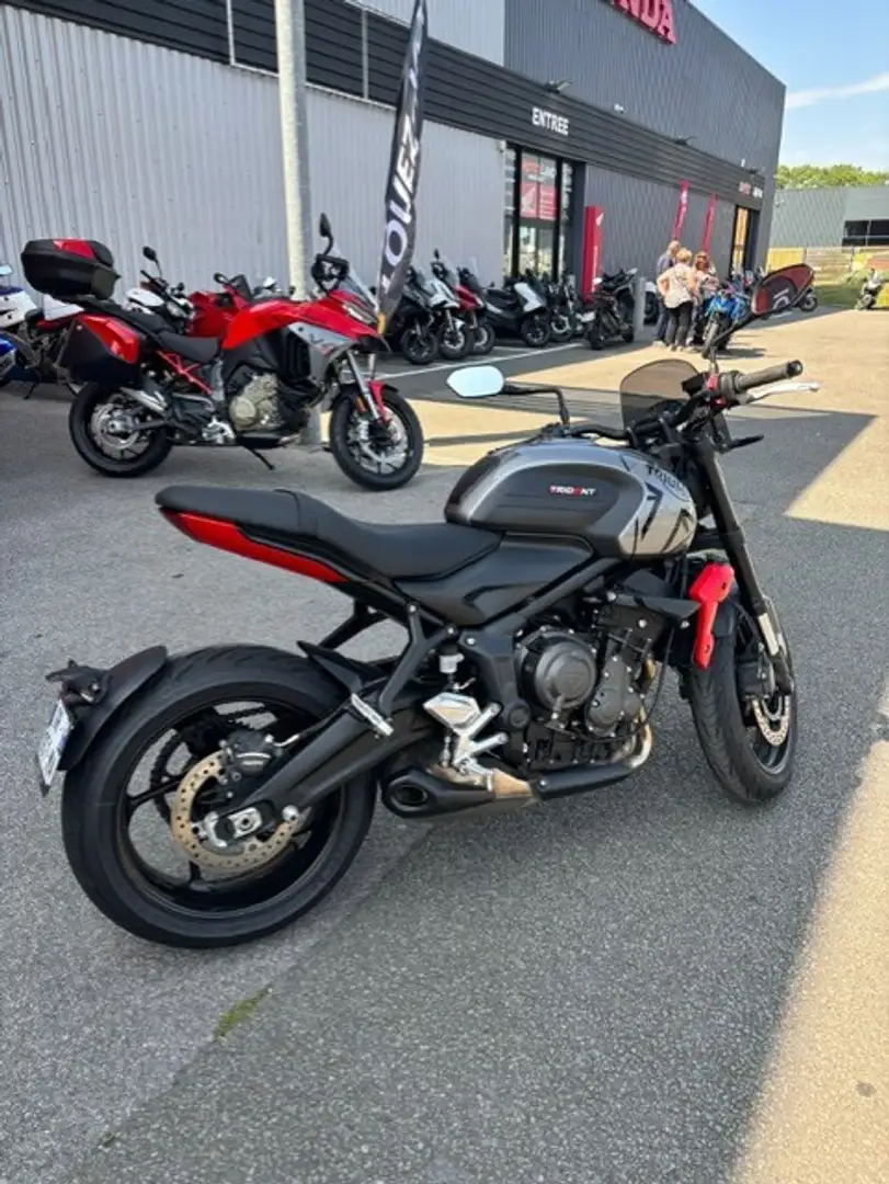 Triumph Trident 660 Szary - 2