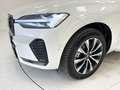 Volvo XC60 B4 (bz) 197CV FWD PLUS DARK Blanc - thumbnail 7