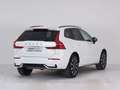 Volvo XC60 B4 (bz) 197CV FWD PLUS DARK Blanc - thumbnail 4