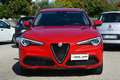 Alfa Romeo Stelvio 2.2 t Sport Tech rwd 160 cv auto CarPlay Android Rosso - thumbnail 2