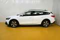 Ford Focus Traveller 1,5 EcoBlue Active Business Alb - thumbnail 3