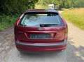 Ford Focus Focus Fließheck  5-Türer 1.6 16V Ghia Rot - thumbnail 4