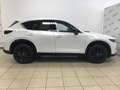 Mazda CX-5 2.2L Skyactiv-D 150 CV 2WD Homura Bianco - thumbnail 6