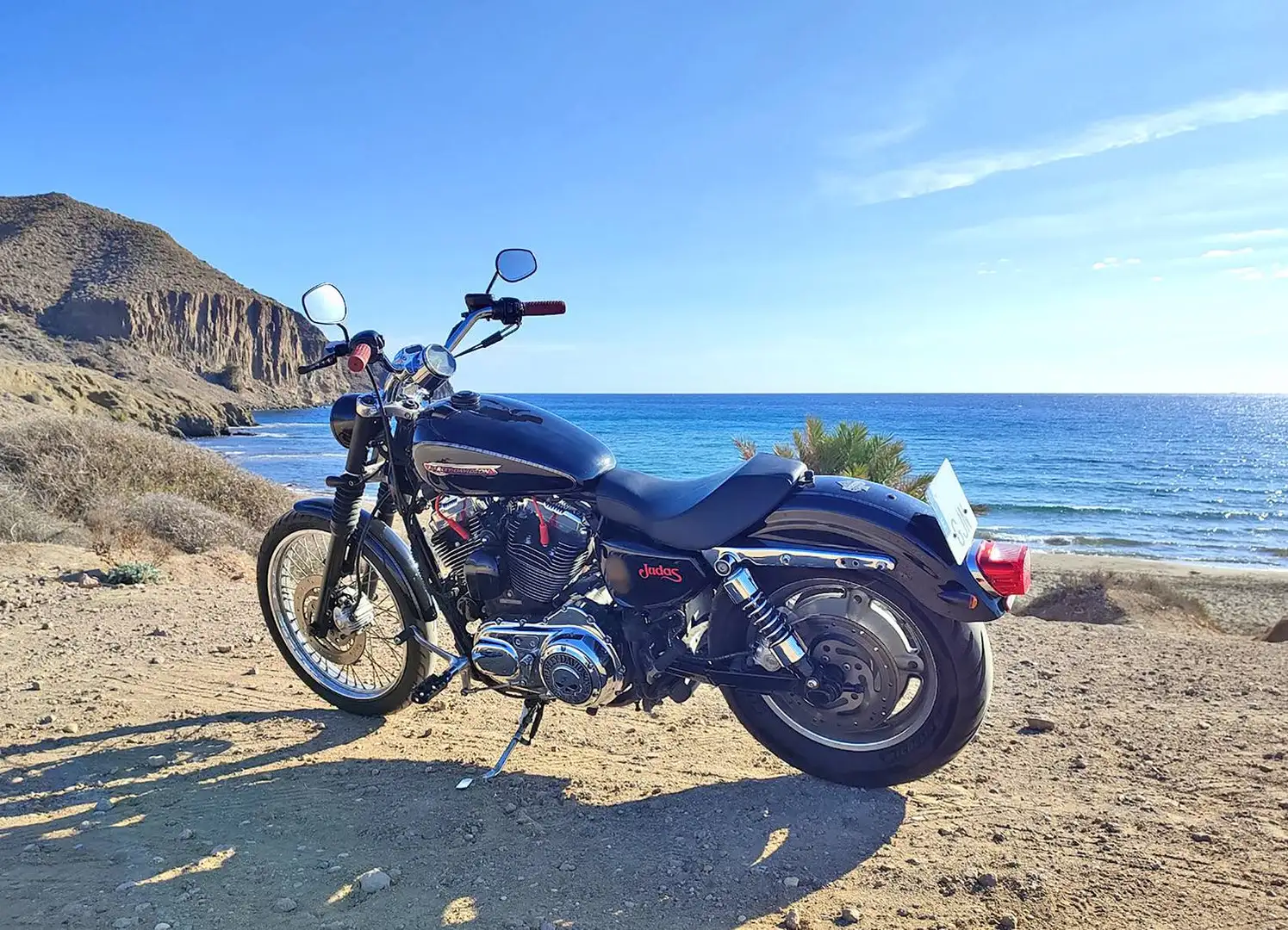 Harley-Davidson 1200 Custom Negro - 1