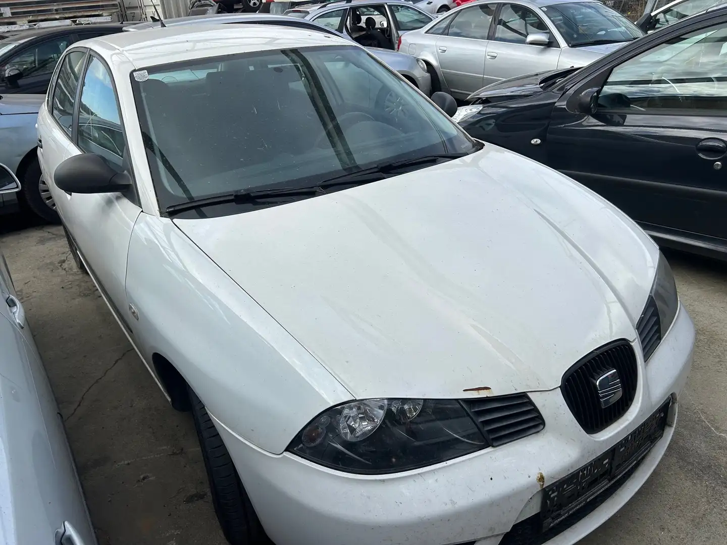 SEAT Ibiza Reference Weiß - 2