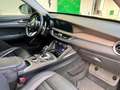 Alfa Romeo Stelvio Stelvio 2.2mjet Ti Q4 210cv auto Grün - thumbnail 19