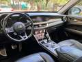 Alfa Romeo Stelvio Stelvio 2.2mjet Ti Q4 210cv auto Grün - thumbnail 15