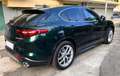 Alfa Romeo Stelvio Stelvio 2.2mjet Ti Q4 210cv auto Grün - thumbnail 6