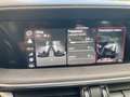 Alfa Romeo Stelvio Stelvio 2.2mjet Ti Q4 210cv auto Grün - thumbnail 24