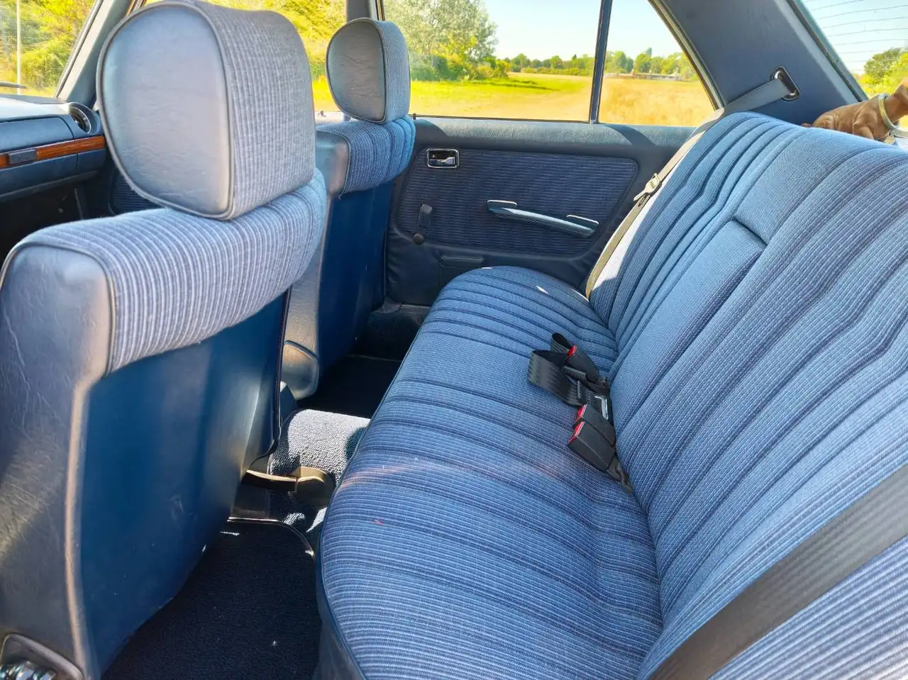 Mercedes-Benz 200 W123, foto 3