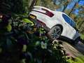 Polestar 2 2 LRDM LaunchEdition 78kWh Білий - thumbnail 4