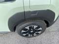 Fiat Grande Panda 1.2 hybrid Icon 110cv edct da immatricolare - thumbnail 9