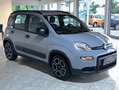 Fiat Panda Panda 2022 1.0 firefly hybrid CITY LIFE S UNIPROPR Gris - thumbnail 3