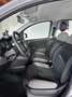 Fiat Panda Panda 2022 1.0 firefly hybrid CITY LIFE S UNIPROPR Gris - thumbnail 8