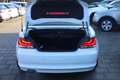 BMW 120 1-serie Cabrio 120i HIGH EXECUTIVE | LEDER | NAVI Blanc - thumbnail 12