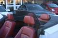 BMW 120 1-serie Cabrio 120i HIGH EXECUTIVE | LEDER | NAVI Blanc - thumbnail 10