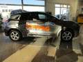 Ford Puma 1.0l Mild Hybrid ST-Line       *Park-Pilot*     -E Grau - thumbnail 11