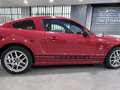 Ford Mustang 4.6 V8 Rosso - thumbnail 6