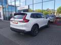 Honda CR-V 2,0 e:HEV Elegance AWD Navi/LED/Kamera Weiß - thumbnail 6
