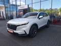 Honda CR-V 2,0 e:HEV Elegance AWD Navi/LED/Kamera Weiß - thumbnail 2