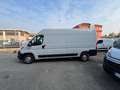 Peugeot Boxer 35q 2.2 BlueHDi 140cv L3H2 KM ZERO Alb - thumbnail 4