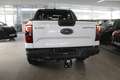 Ford Ranger Wildtrak Automatik AHK TechnologiePaket uvm. Weiß - thumbnail 4