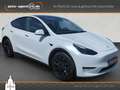 Tesla Model Y Dual AWD Long Range /SoH 90%/1.Hd/MwSt. Weiß - thumbnail 1